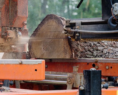 MOBILES LOHNSÄGEWERK / Wood-Mizer / LT40